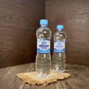 Вода минеральная Липецкая негаз 0,5 л