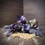 Базилик красный