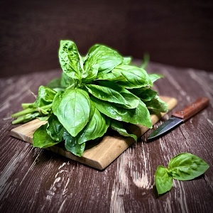 Базилик зеленый