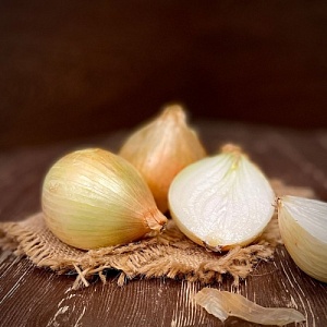 Лук репчатый 